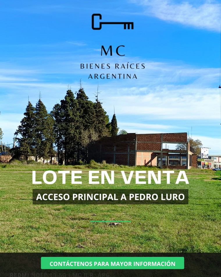 Lote