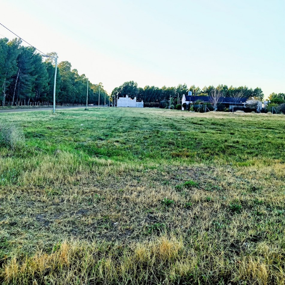 Lotes en Mayor Buratovich