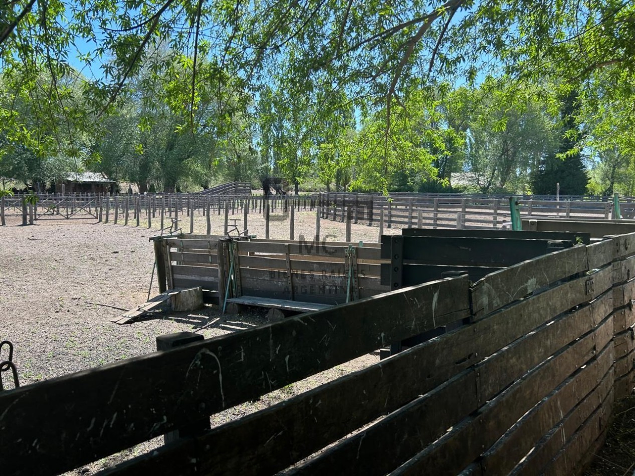 Sociedad Anonima en venta con importantes Estancias en Neuquen - Patagonia Argentina