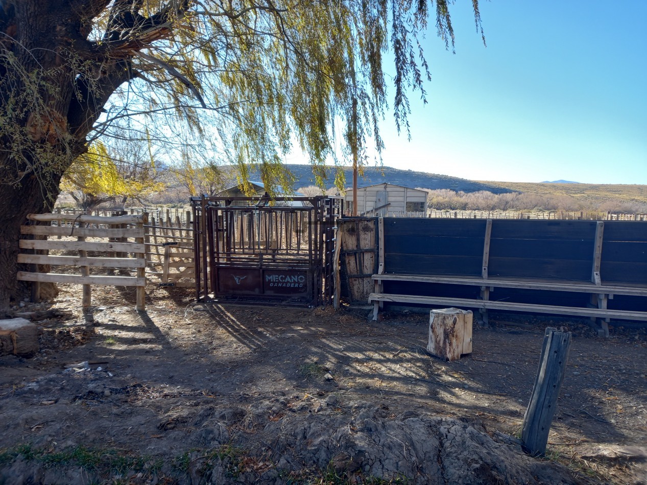 12.000 hectareas mixtas Neuquen, Argentina