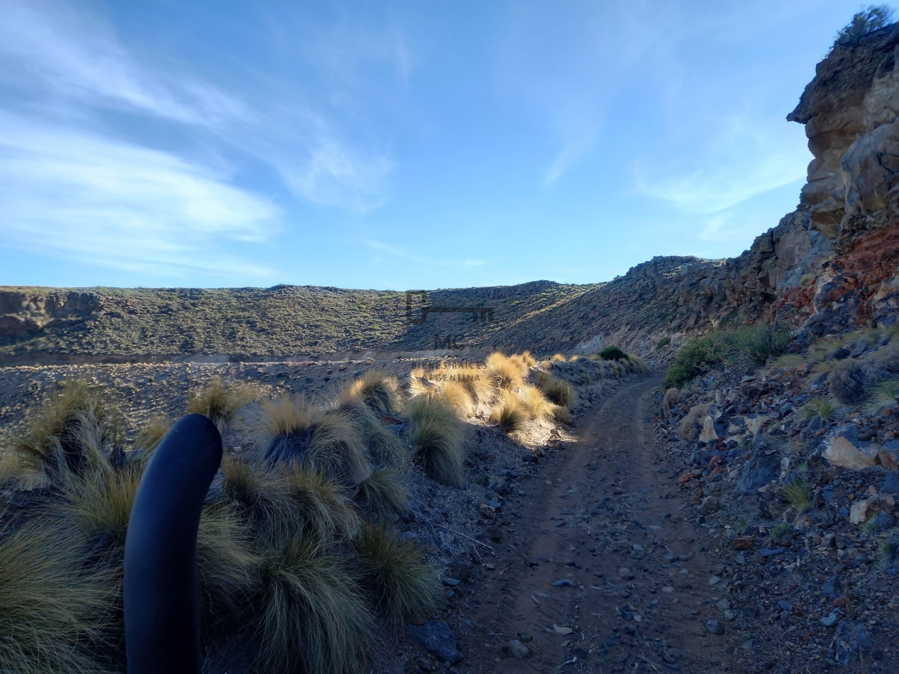 12.000 hectareas mixtas Neuquen, Argentina