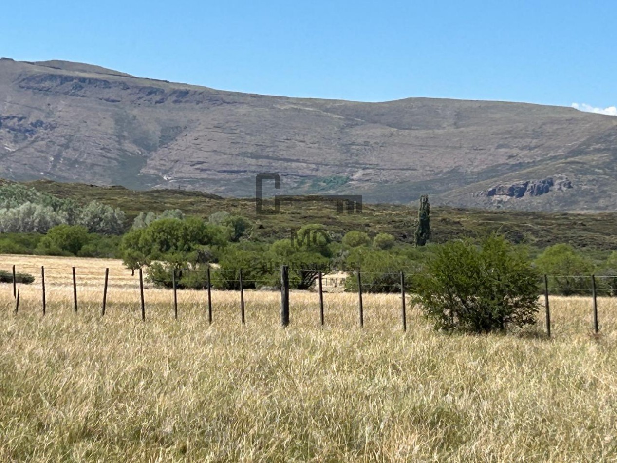 Sociedad Anonima en venta con importantes Estancias en Neuquen - Patagonia Argentina