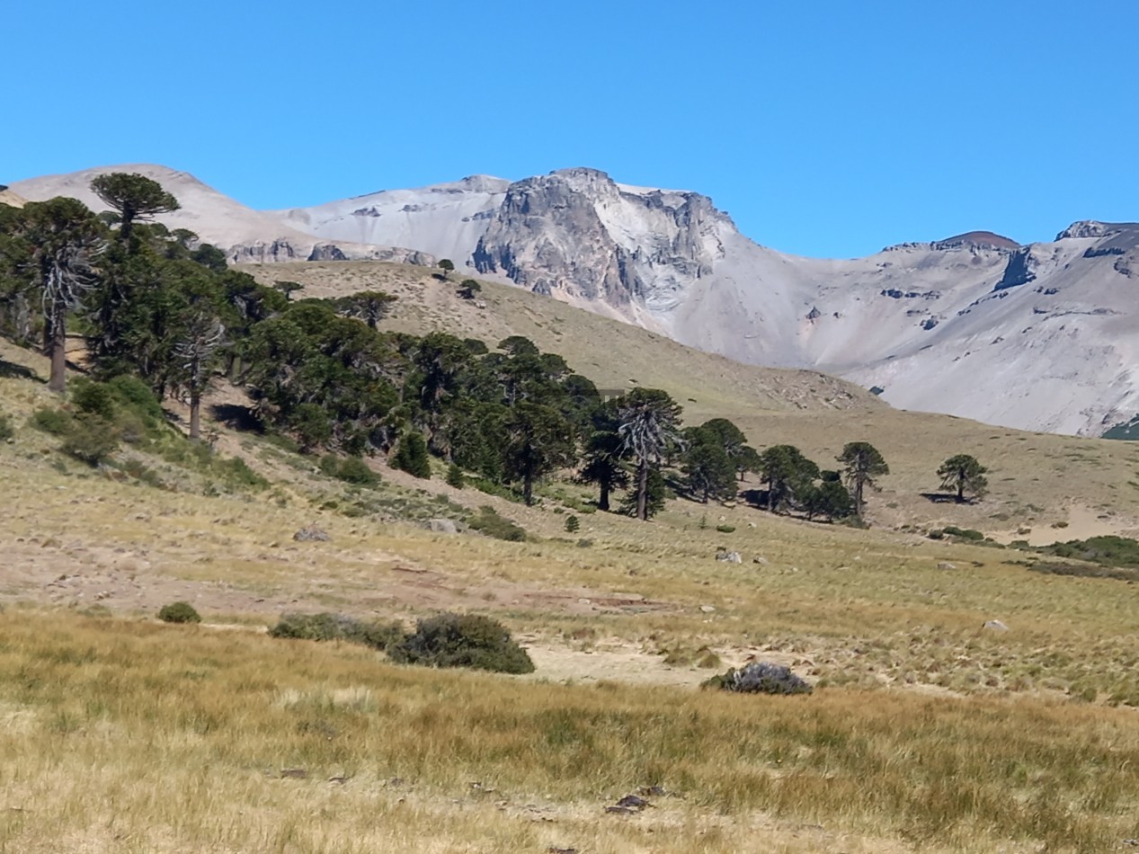12.000 hectareas mixtas Neuquen, Argentina