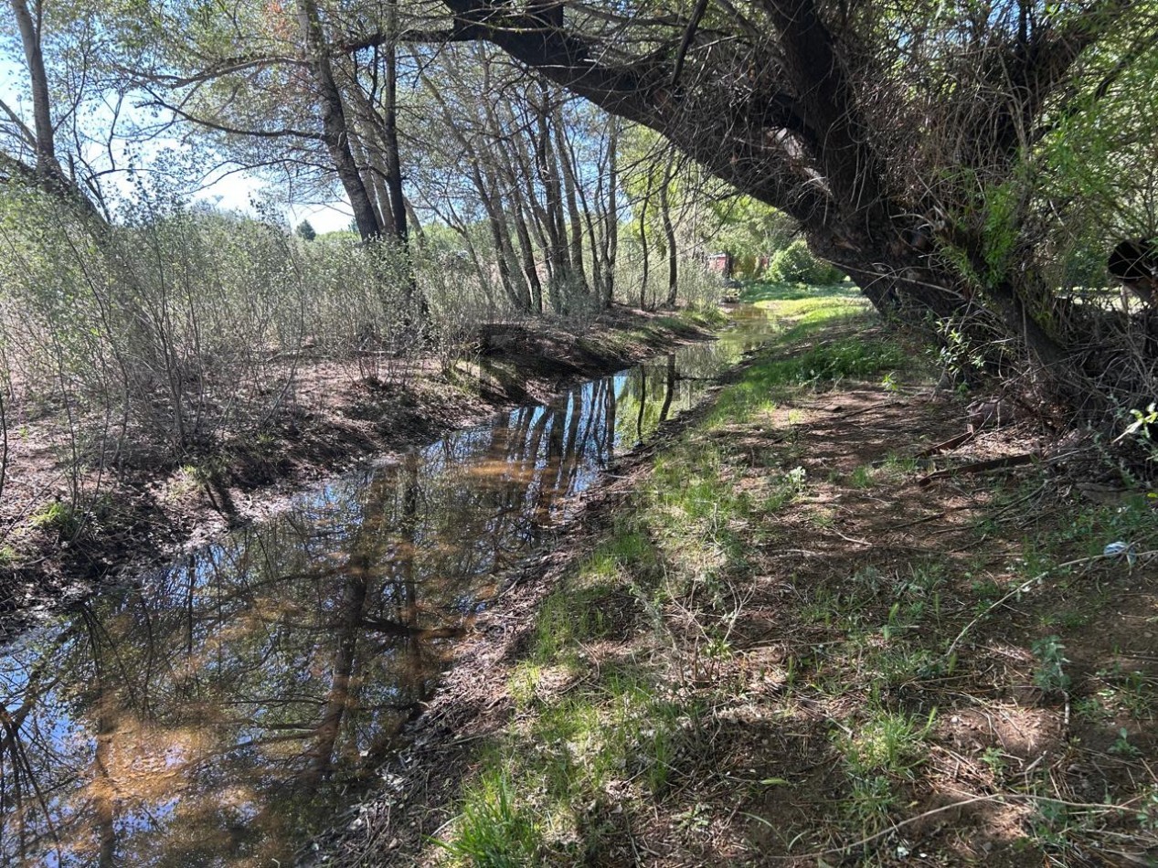 Sociedad Anonima en venta con importantes Estancias en Neuquen - Patagonia Argentina