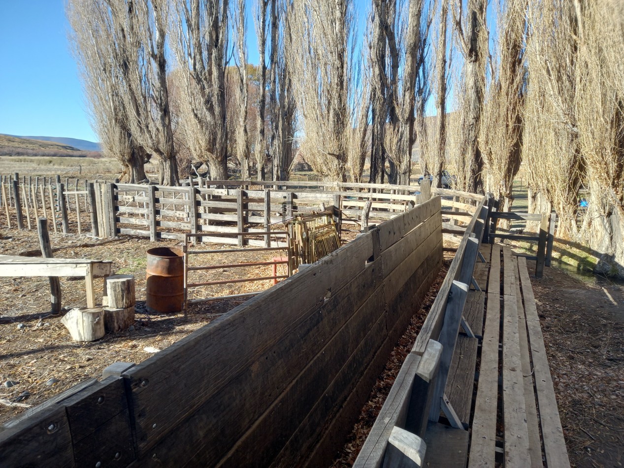 12.000 hectareas mixtas Neuquen, Argentina