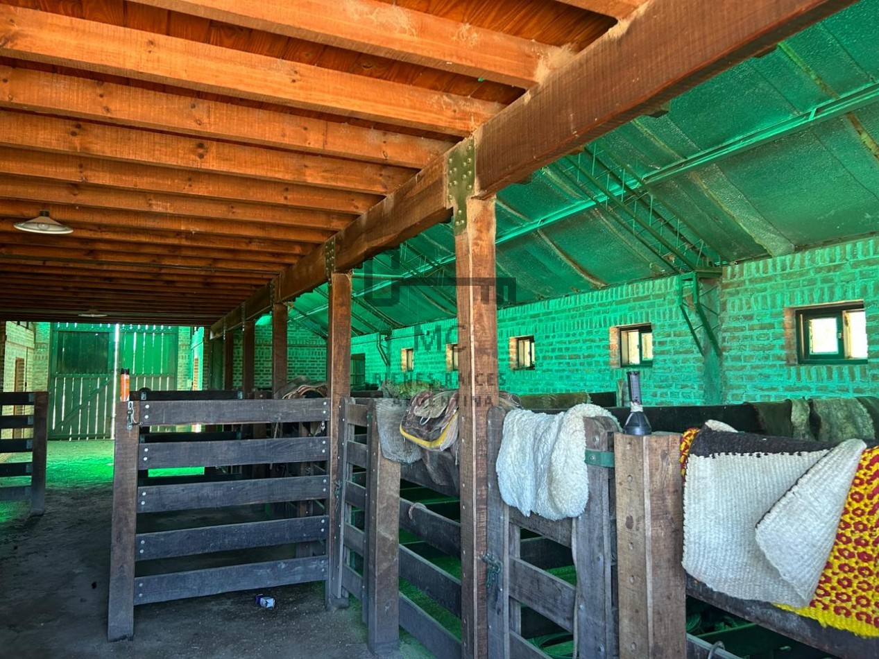 Sociedad Anonima en venta con importantes Estancias en Neuquen - Patagonia Argentina