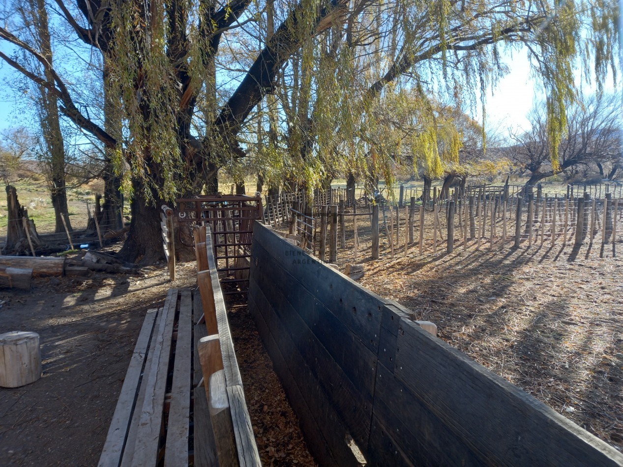 12.000 hectareas mixtas Neuquen, Argentina