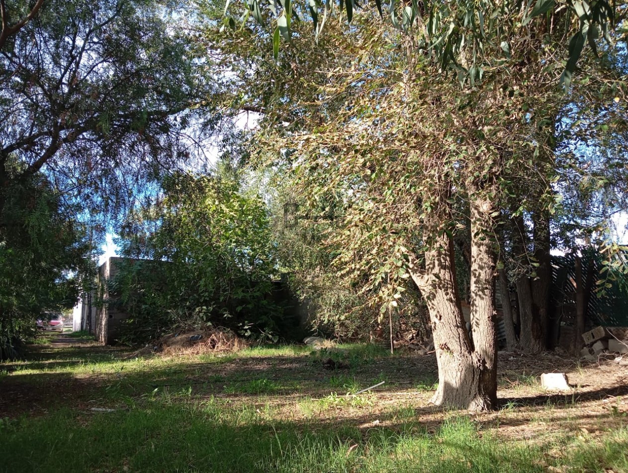 Casa y Local Comercial en Venta