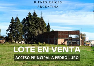 Lote